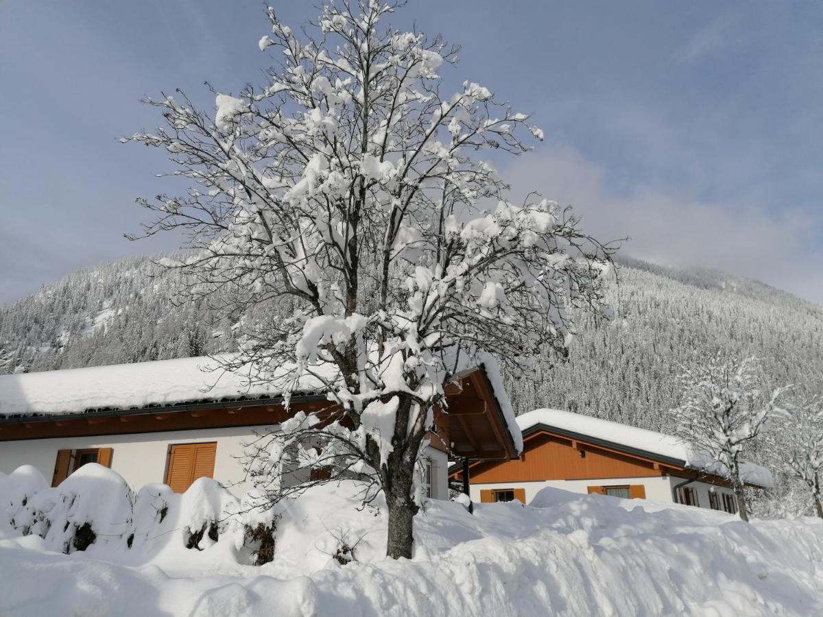 BergAufe Chalets Mallnitz Exterior foto