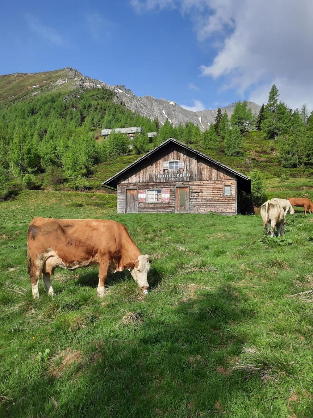 BergAufe Chalets Mallnitz Exterior foto